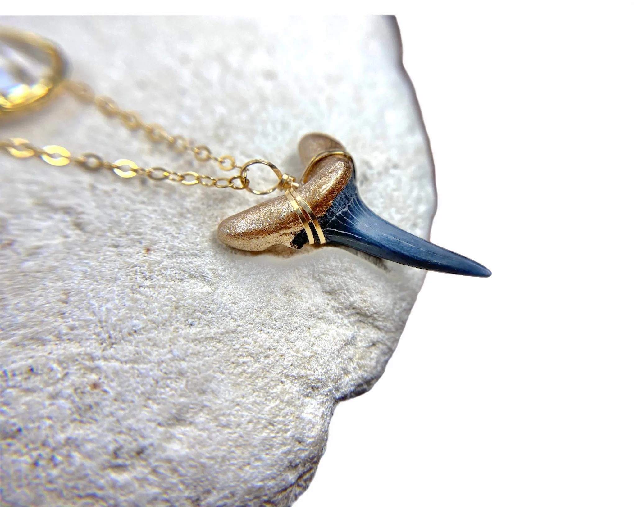 Jetty Shark Tooth Necklace