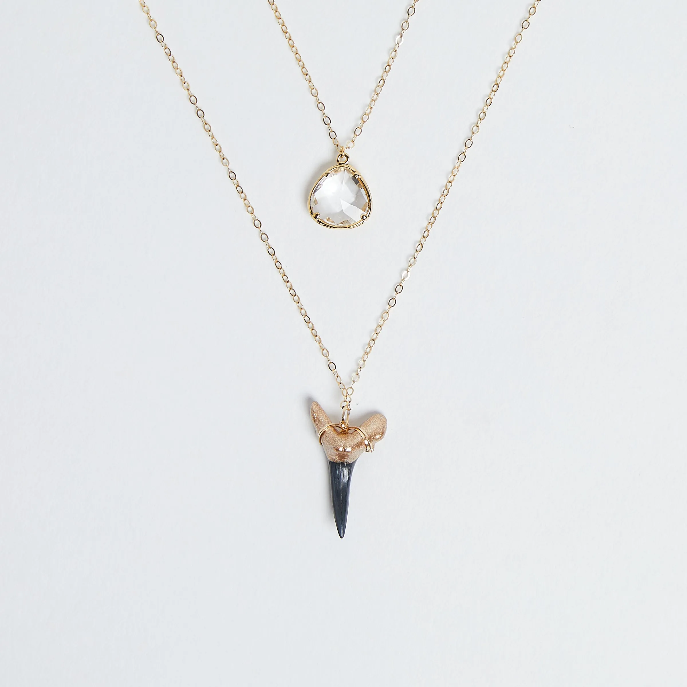 Jetty Shark Tooth Necklace