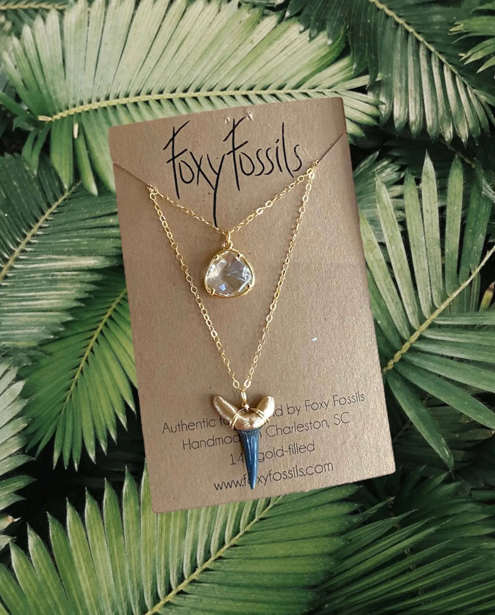 Jetty Shark Tooth Necklace